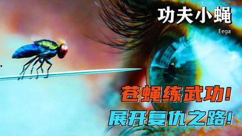 功夫苍蝇在线观看,空中奇侠的逆袭之旅